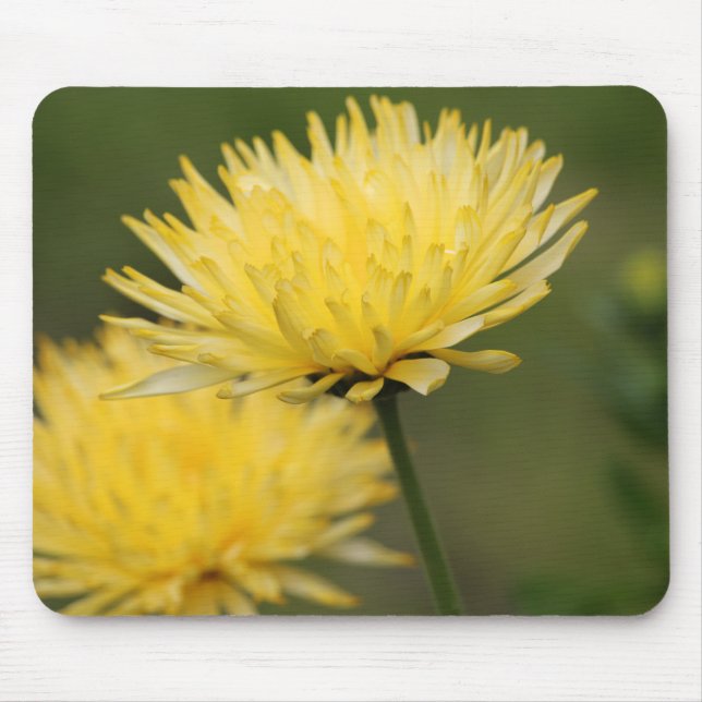 Yellow Mums Mouse Mat (Front)