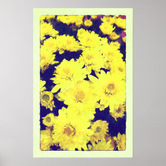 YELLOW MUMS Poster