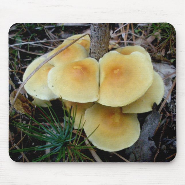 Yellow Mushroom Colony OBX Mousepad (Front)