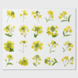 Yellow Mustard Flower Botanical Set Canola Blossom Wrapping Paper