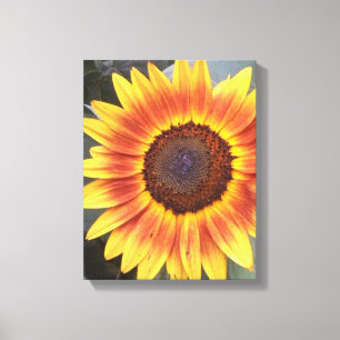 Yellow N Orange Sunflower Wrapped canvas