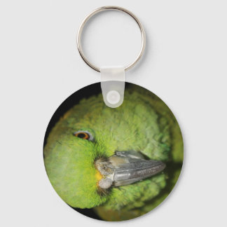 Yellow-Naped Amazon Parrot Keychain