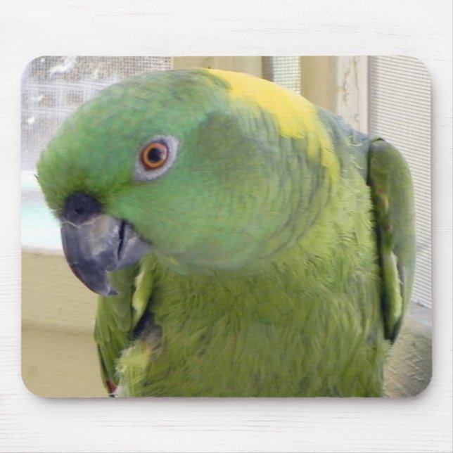 Yellow Naped Amazon PARROT Mouse Mat (Front)