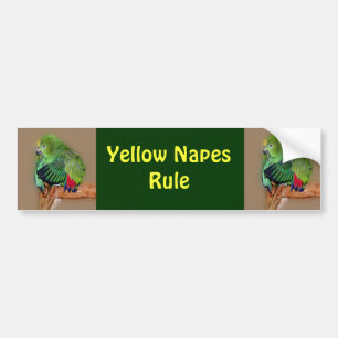 Yellow Naped Amazons Rule Bumper Sticker