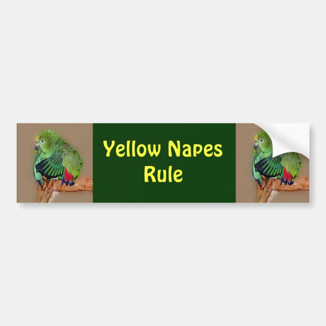 Yellow Naped Amazons Rule Bumper Sticker (Front)