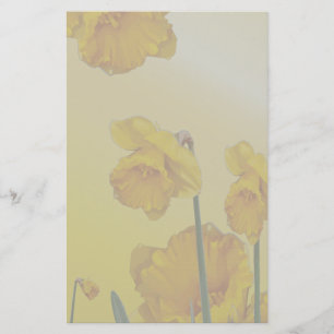 Yellow Narcissus Daffodil Stationery
