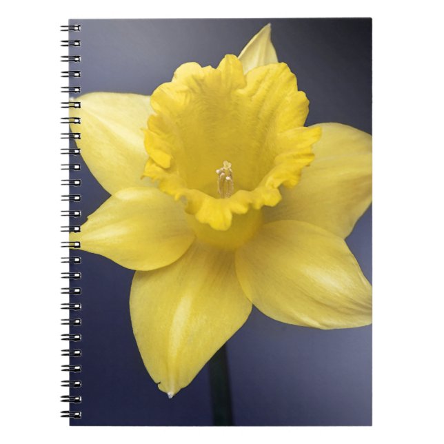Yellow Narcissus Flower Floral watercolor paint Notebook (Front)
