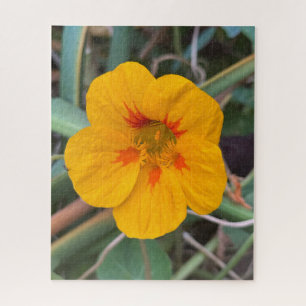 Yellow Nasturtium, San Francisco Jigsaw Puzzle