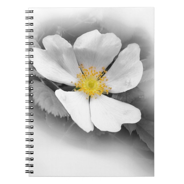 yellow on shades of grey notebook (Front)