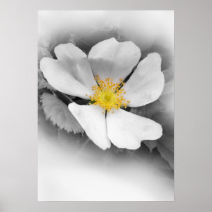 yellow on shades of grey poster