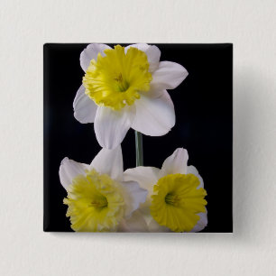 Yellow on White Daffodil 15 Cm Square Badge