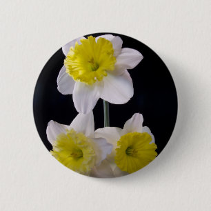 Yellow on White Daffodil 6 Cm Round Badge