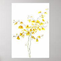 yellow Oncidium Orchid watercolor