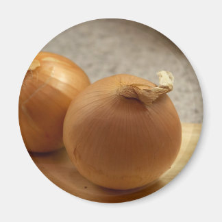 Yellow Onions Vegetables Magnet