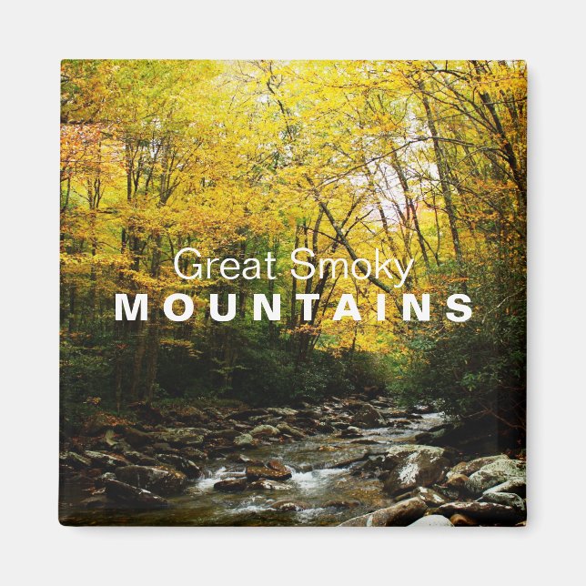 Yellow Orange Autumn Great Smoky Mountains magnet (Front)