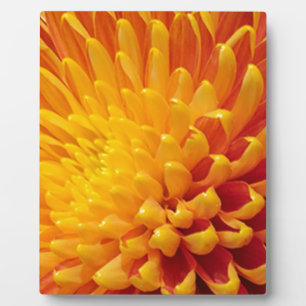Yellow & Orange Chrysanthemum Plaque