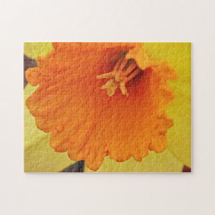 Yellow Orange Daffodil Flower Spring Puzzle