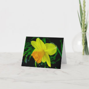 Yellow Orange Daffodil Note Card