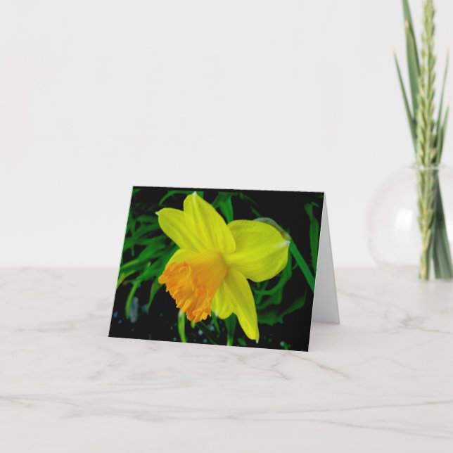 Yellow Orange Daffodil Note Card (Front)