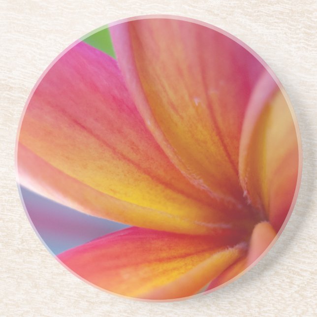Yellow Orange Deep Pink Tropical Plumeria Flower Coaster (Front)