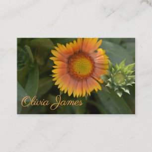 Yellow Orange Flower Blossom Garden Plant Nature Business Card