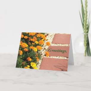 Yellow Orange Marigold Flowers Greeting Cards