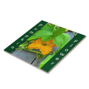 Yellow Orange Pumpkin Flower on Vine  Tile