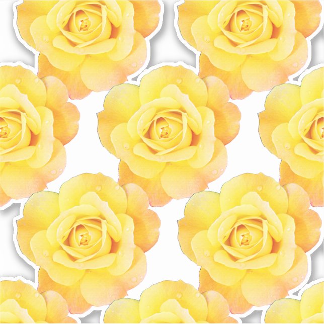 Yellow Orange Rose Patterns Floral Flowers Garden (Front)