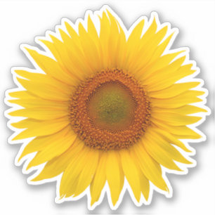 Yellow Orange Sunflower Flower Kiss-Cut Sticker
