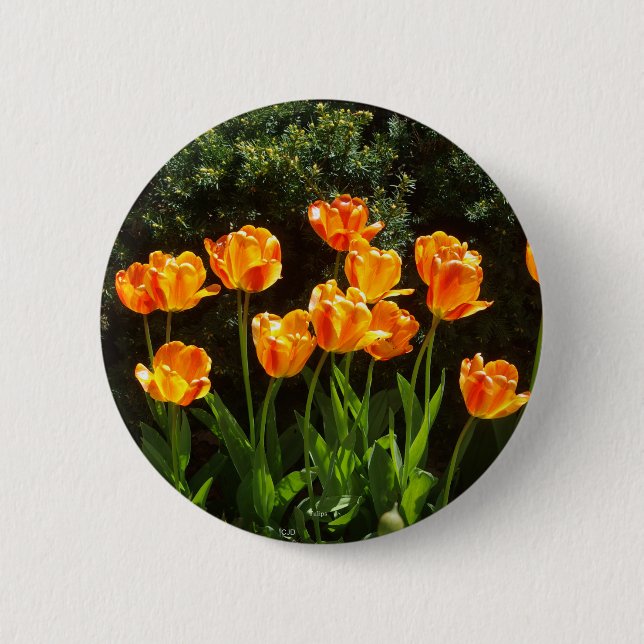 Yellow Orange Tulips button (Front)