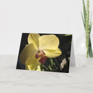 Yellow Orchid Blank Inside Greeting Card