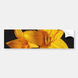 Yellow Orchid Bumper Sticker