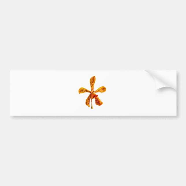 Yellow Orchid Bumper Sticker (Front)
