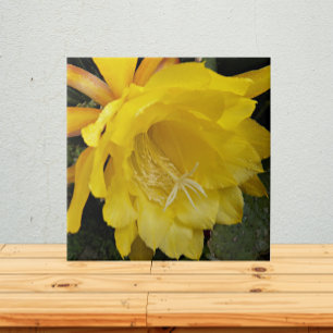 Yellow Orchid Cactus Bloom Floral Tile