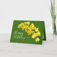 Yellow Orchid Flower Cluster Green Background