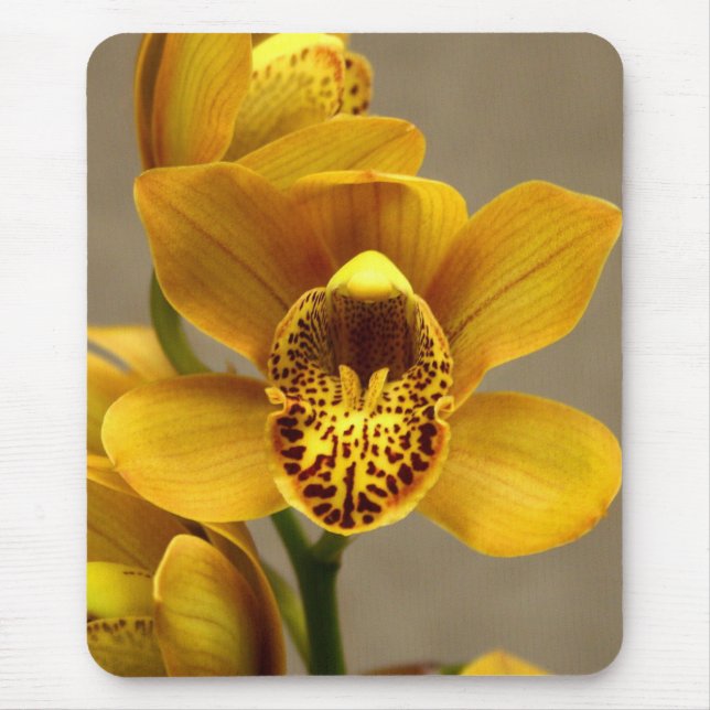 Yellow Orchid mousepad (Front)