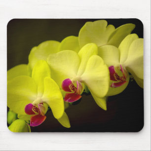 Yellow Orchid - Mousepad