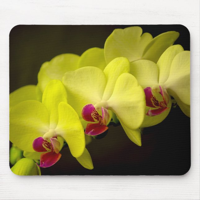 Yellow Orchid - Mousepad (Front)