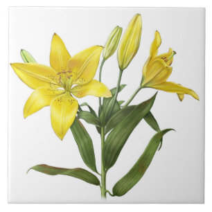 Yellow Oriental Lily Flowers Botanical Art Tile