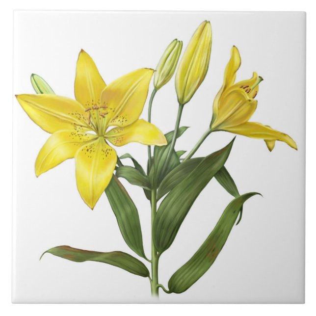Yellow Oriental Lily Flowers Botanical Art Tile (Front)