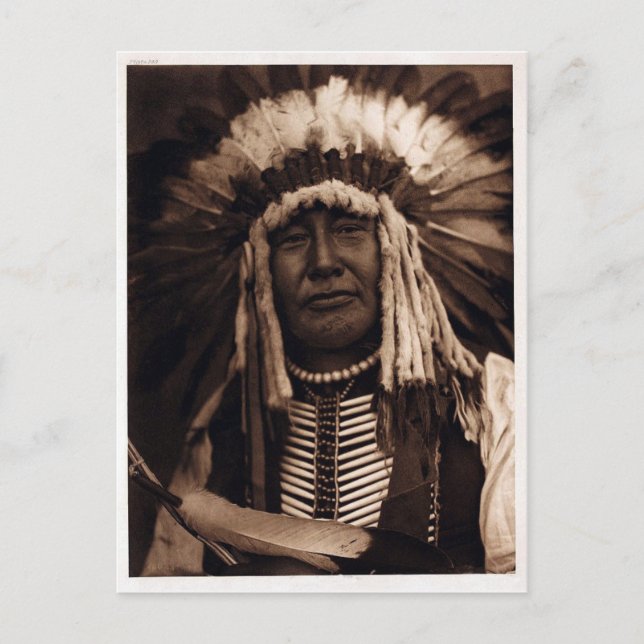 Yellow Owl Postcard (Front)