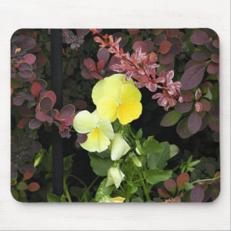 yellow pansies mouse mat
