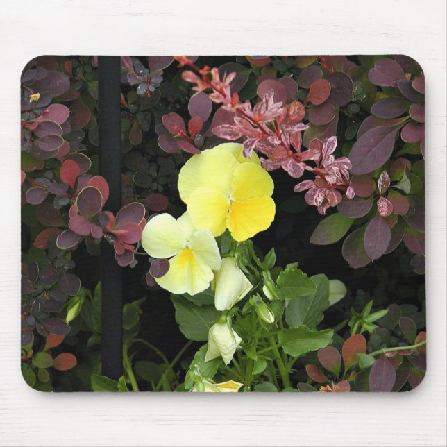 yellow pansies mouse mat (Front)