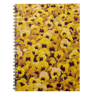 Yellow Pansies Notebook