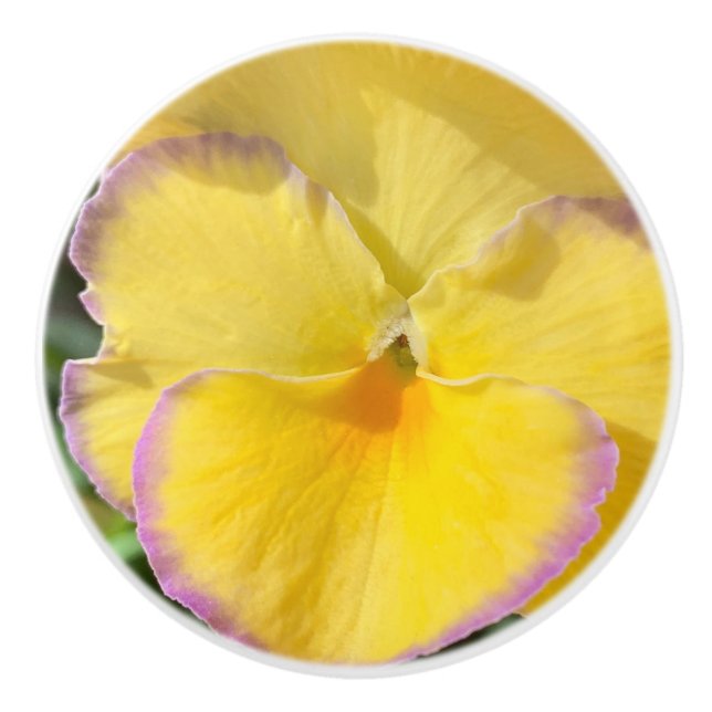 Yellow pansy ceramic knob (Front)