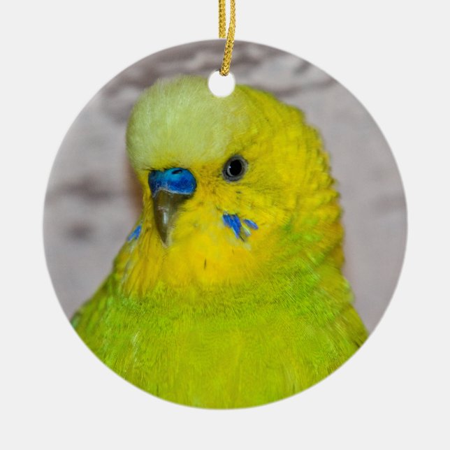 Yellow Parakeet Ornament (Front)