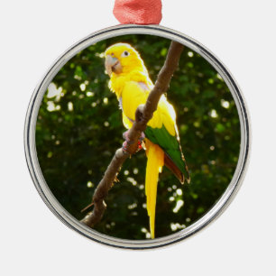 Yellow Parrot Metal Tree Decoration