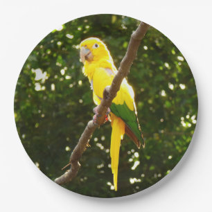 Yellow Parrot Paper Plate