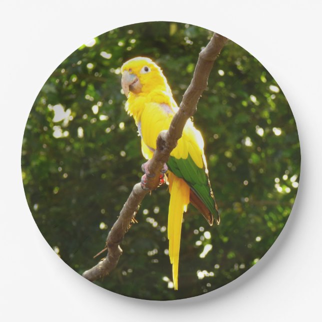 Yellow Parrot Paper Plate (Front)