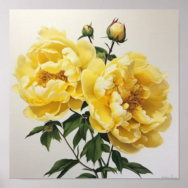Yellow Peonies Flower Art Print Poster (Front)